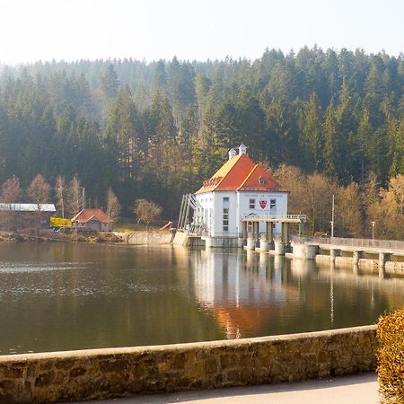 Ferienhaus Nr 6, Typ A, Feriendorf Jägerpark, Bayerischer Wald Viechtach Exterior foto